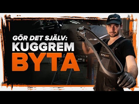 Video: Hur man stänger av ett fastnat horn: 10 steg (med bilder)