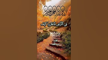 القارئ محمد الفقيه. سورة النحل