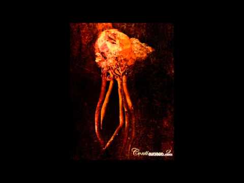 Continuum (2) — Continuum - Construct V