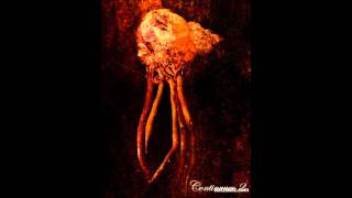 Continuum - Construct V