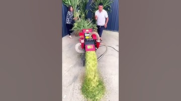 Quick crushing process of corn stalks