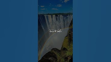 ما اجمل 🔊صوت القران الكريم #قرآن #المصحف #الرحمن #راحة_نفسية #اكسبلور #quran #muslim