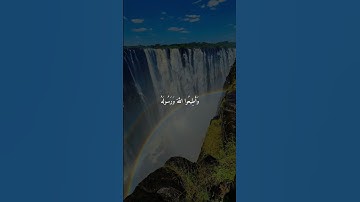 ما اجمل 🔊صوت القران الكريم #قرآن #المصحف #الرحمن #راحة_نفسية #اكسبلور #quran #muslim