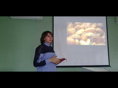 Ферропения. Пандемия XXI