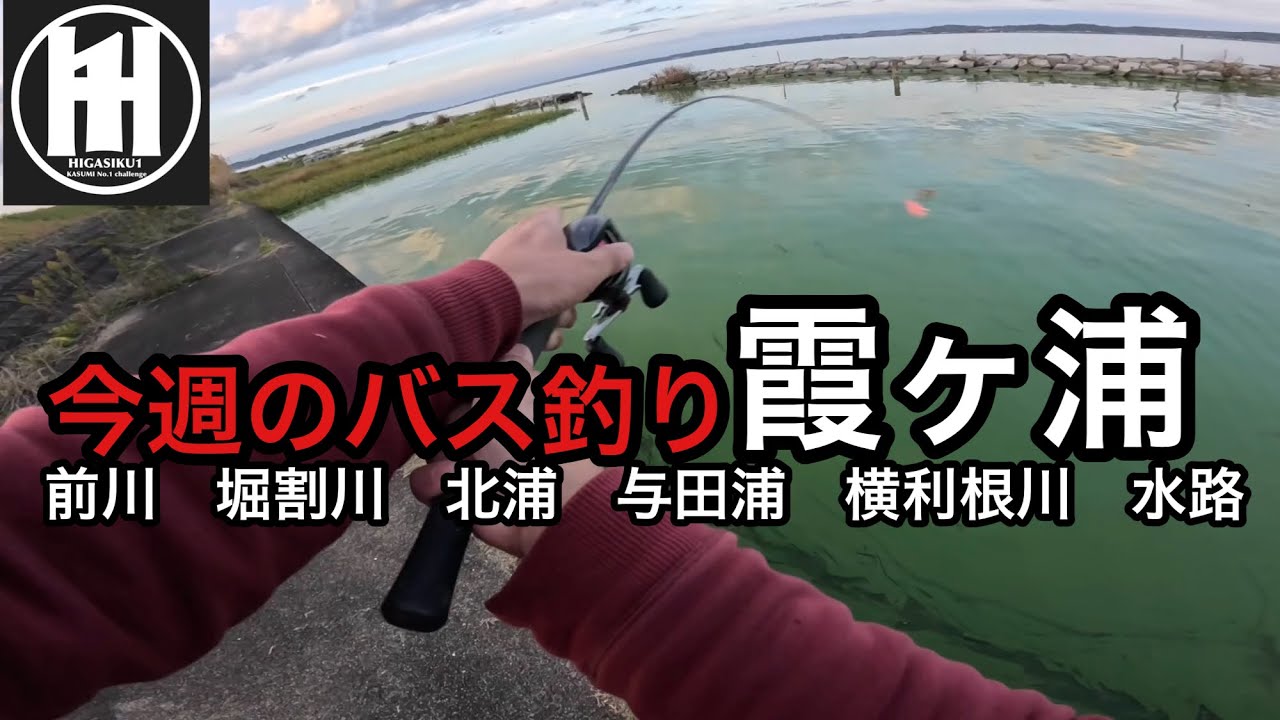 バス釣り今週の霞ヶ浦！前川　堀割川　北浦　与田浦　横利根川　水路2025年11月17日