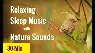 Beautiful 30 minute relaxing sleep music with birds and water sound
