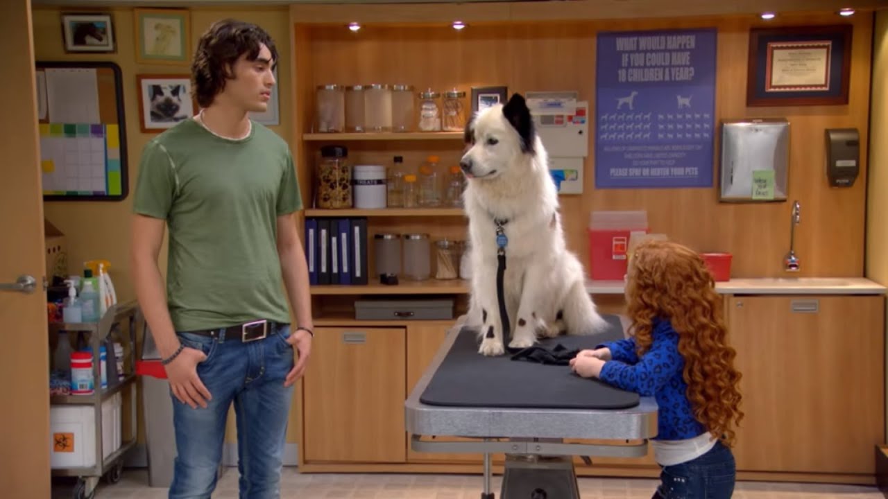 Собака точка ком (Сезон 3 Серия 5) - YouTube