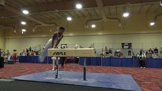 Khoi Young - Pommel Horse - 2019 Winter Cup Junior Prelims