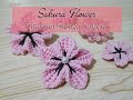 How to Crochet Sakura Flower/Merajut Bunga Sakura Mudah dan Cantik
