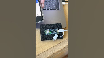 COMP554 - Tiny ML Wake Work Detection