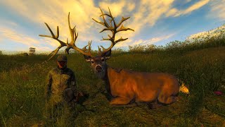2 x 300 Non-typical ?! | The Hunter classic