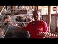 Chicken Farming Is Easy Enough To Set Up And Do Find Out How On Mkulima Tomorrow At 4 30pm Chicken Farming Is Easy Enough To Set Up And Do Find Out How On Mkulima Tomorrow At 4 30pm