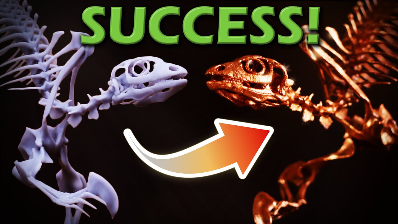 Turning my Fossil Discovery into a Museumgrade Display