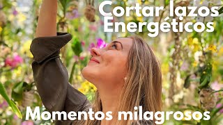 Momentos Milagrosos: Cortando lazos energéticos (Día 6)