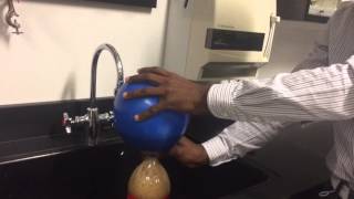 Avogadro's Law Demonstration