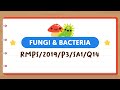 PSLE Science: Fungi and Bacteria Quiz