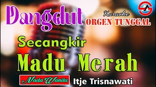 Download Lagu Secangkir Madu Merah - Karaoke (Nada Wanita) Itje Trisnawati || Dangdut Orgen Tunggal MP3