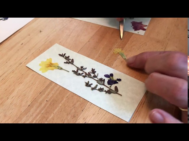 Pressed Flower Gluing Mini Course 