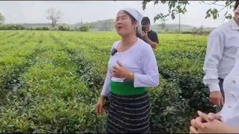 Cách tán gái của người Thổ không trật phát nào - Hát ghẹo cồng chiêng