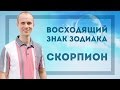 Восходящий знак зодиака Скорпион в Джйотиш | Дмитрий Бутузов (Ведический астролог, психолог)