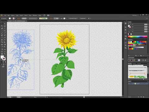 Удаление белого фона с рисунка Illustrator CS6 .