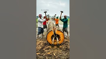 “Brave Farmers Rescue Cows Trapped Inside Giant Log | Emotional Animal Rescue” #humanity #pets #cow