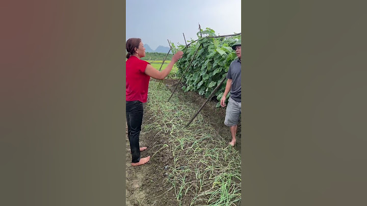 Đang ngoài đồng vợ vật vã  #mechongnangdau #viralvideo #giadinh