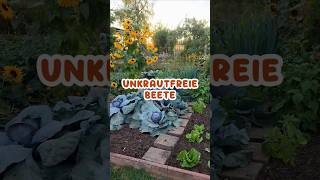 What is the secret behind my weed-free garden beds? 🌱🚫#GardeningTip #VegetableBed #VegetableGarden