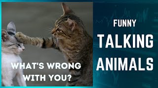 Funny Talking Animals - Learn English for Kids