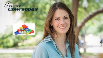 Science Unwrapped: Randomness and Chance