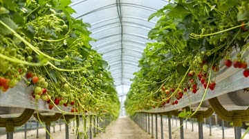 BÙI TỰ RẤT NGUY HIỂM. Chúng ta hết sức cẩn thận.