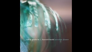 Harold Budd & Robin Guthrie - Another Flower (2020) (Full Album) [HQ]