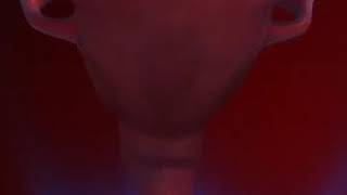 How A Woman Became Pregnant