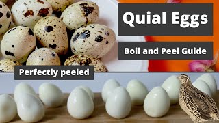 Boiling and Peeling Quail Eggs Guide: Never Struggle Again to Boil and Peel Eggs Perfectly