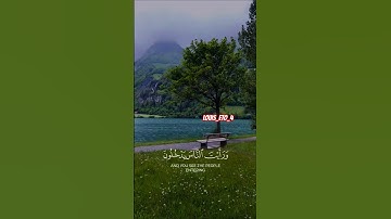 سورة النصر #سورة_النصر #القرآن_الكريم #quran