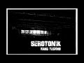 Serotonik   back to the dark techno mix