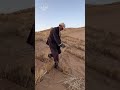 Why Plants Are Grown in Deserts? #shorts