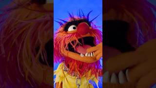 Animal didn’t understand the assignment on Dr. Teeth week 😂 #themuppets70