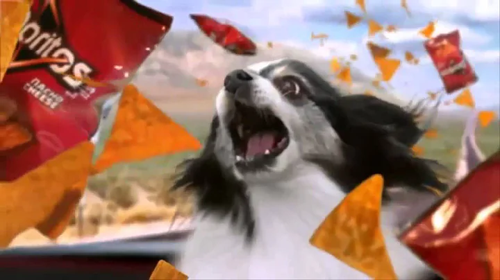 Doritos Commercial 2015 Crash the Super Bowl, Dog Dreams