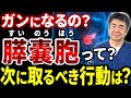 【見逃すと危険】膵嚢胞と膵臓がんの見分け方と対策
