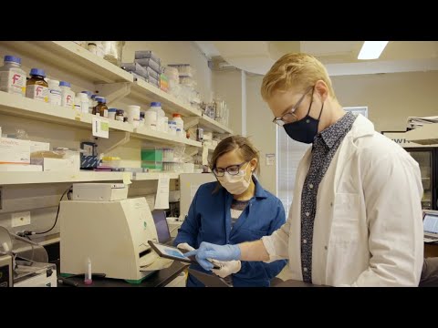 Biochemistry at UNE: