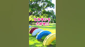 見つけたら天才 ヒカキンを探せ Shorts 