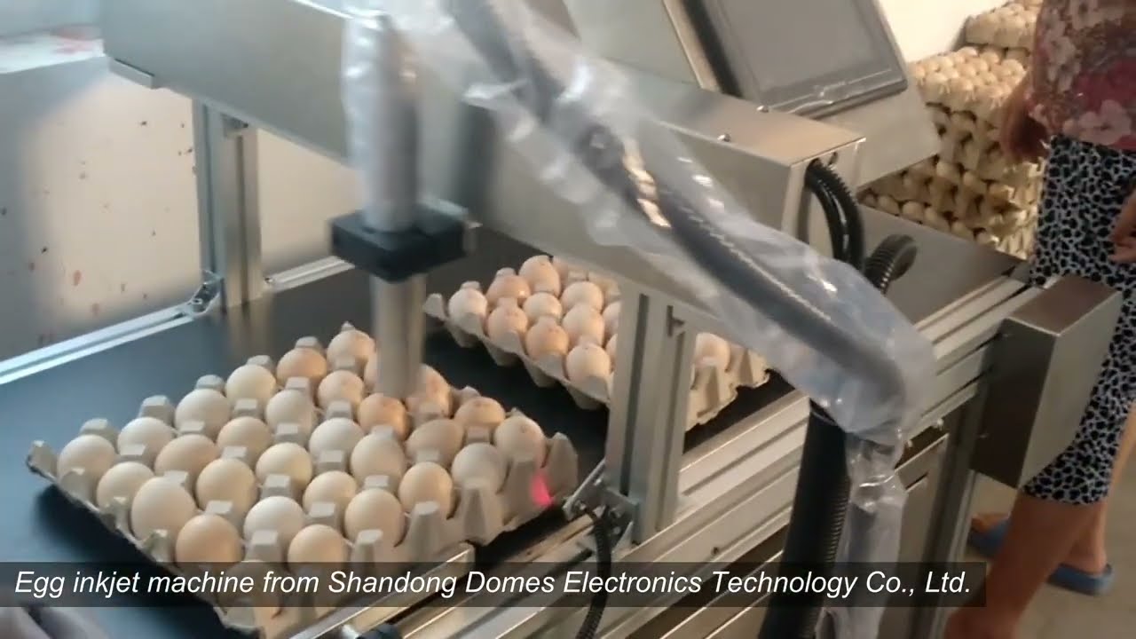 Egg laser marking machine Egg inkjet machine Egg printer +86-13793797962