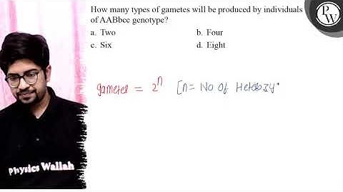 How many types of gametes will be produced by individuals of AABbcc...