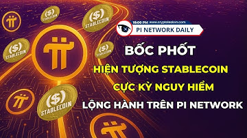 Bốc Phốt Hiện Tượng Stablecoin Cực Kỳ Nguy Hiểm Lộng Hành Trên Pi Network