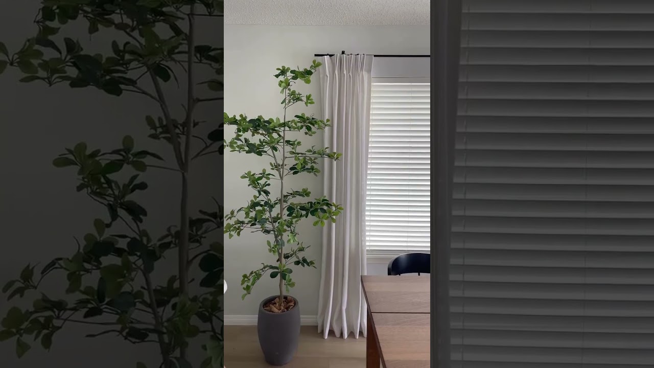 Never underestimate what the right curtains can do. 🤎✨ #shorts #curtains #homedecor #decoratewithme