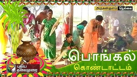 Cattle worshipped on 'Mattu Pongal' in Nellai