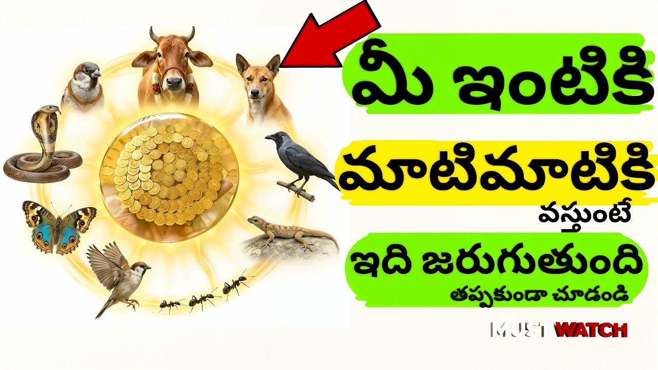 దేవుడు కేవలం రాతి విగ్రహంలో కాదు ప్రతి జీవిలోనూ ఉన్నాడు #astrology #భక్తి #తెలుగు #దానం #vastutips