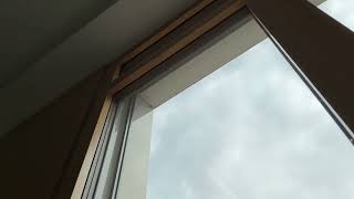 IMG 1159