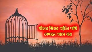 খচর ভতর অচন পখ Khachar Vitor Ochin Pakhi Naw Bangla Sad Lyrical Song 2021 